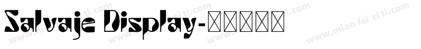 Salvaje Display字体转换